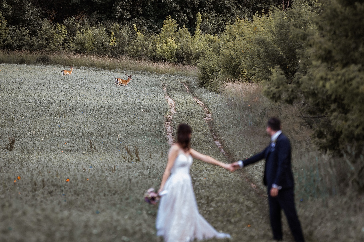 Hochzeit Schloss Gut Liebenberg, Hochzeitsfotograf Schloss Gut Liebenberg, heiraten im Schloss Gut Liebenberg_1555